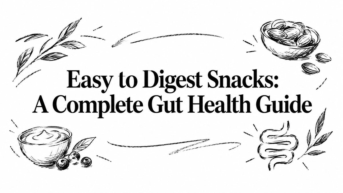 Easy to Digest Snacks: A Complete Gut Health Guide