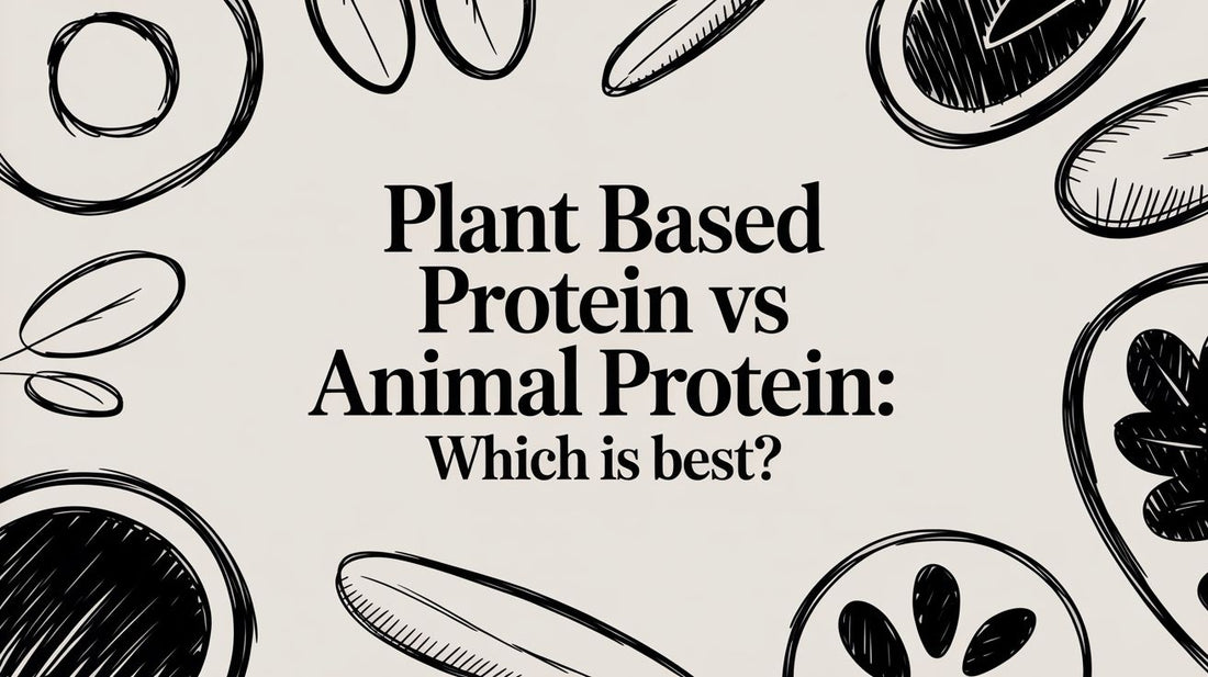 plant based protein vs animal protein: Which is best?