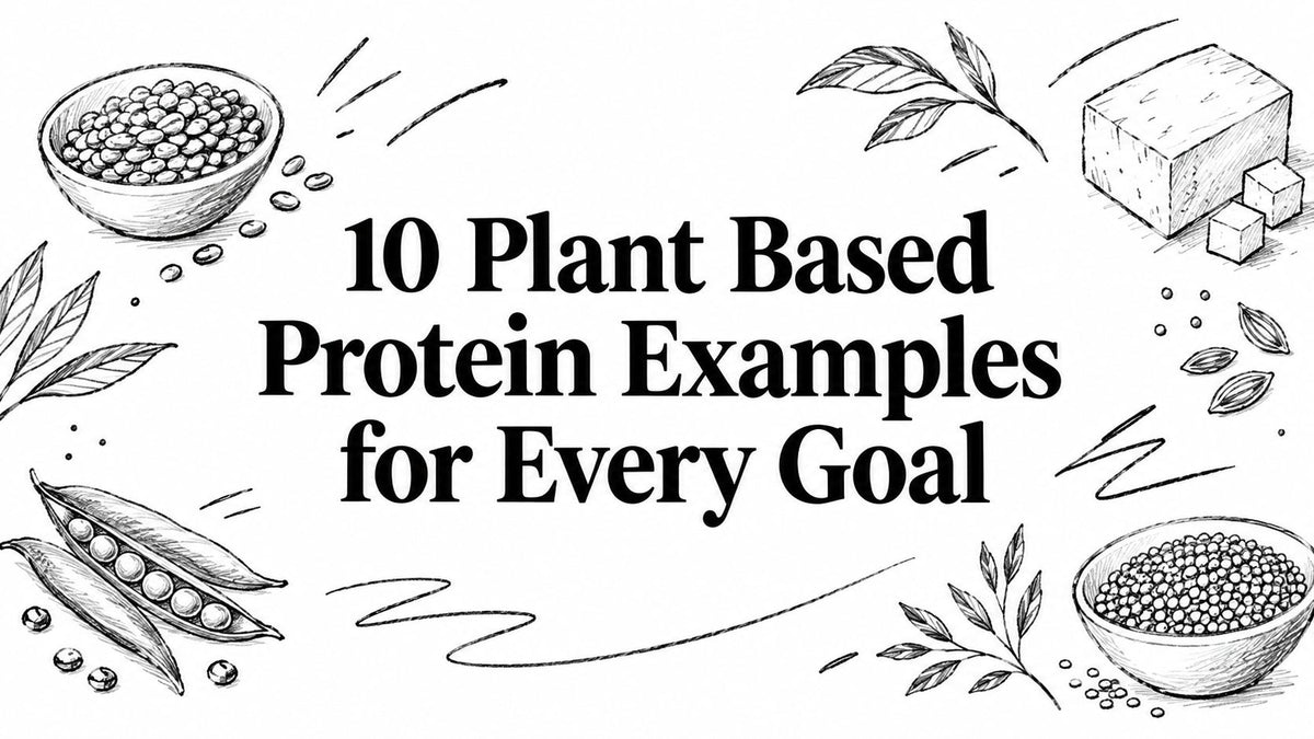10 Plant Based Protein Examples for Every Goal
