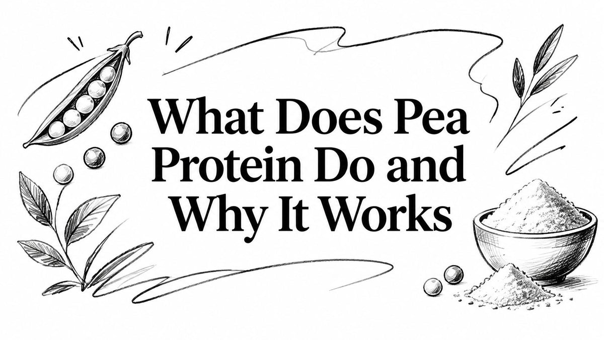 What Does Pea Protein Do and Why It Works