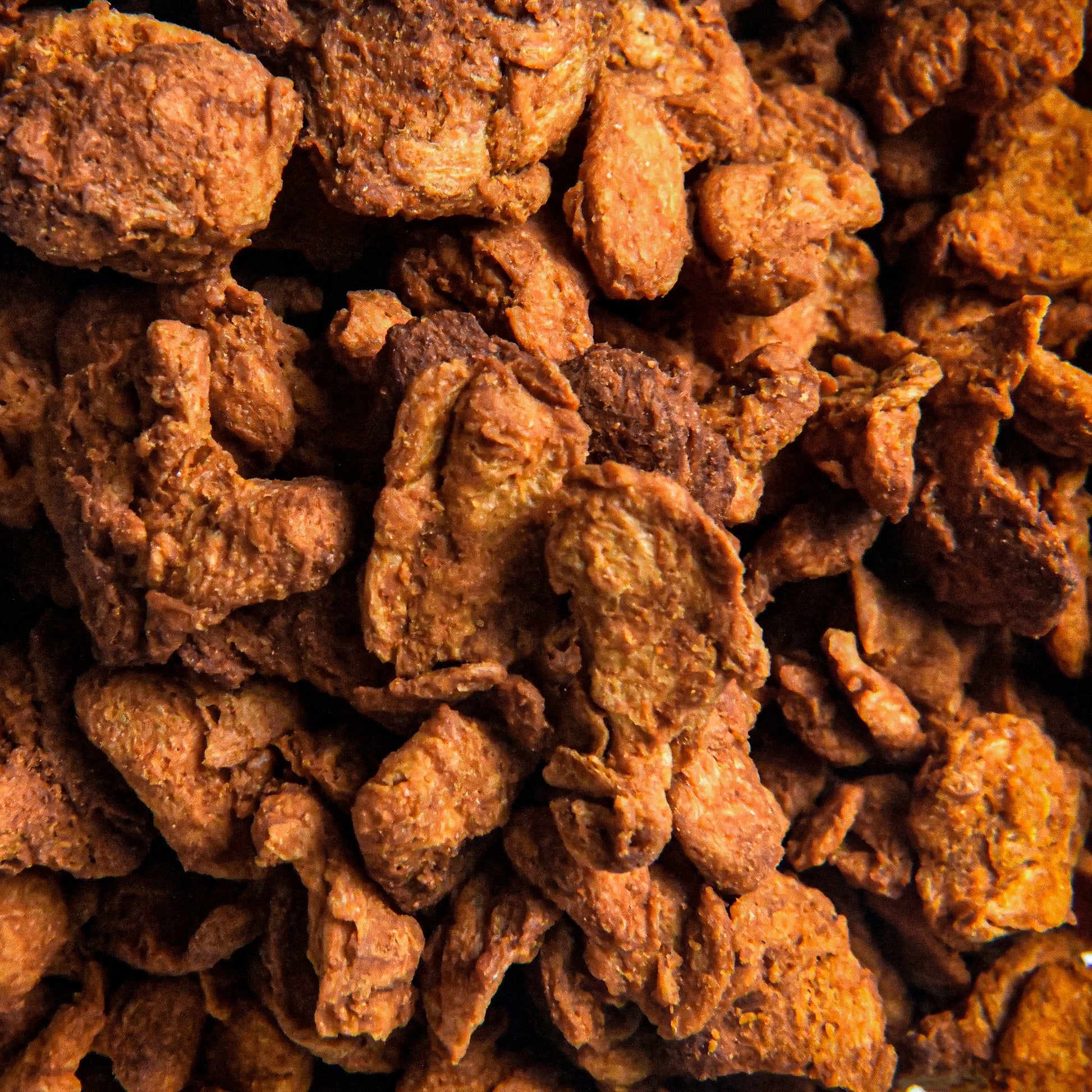 Cheddar Cheeze Bits Bundles